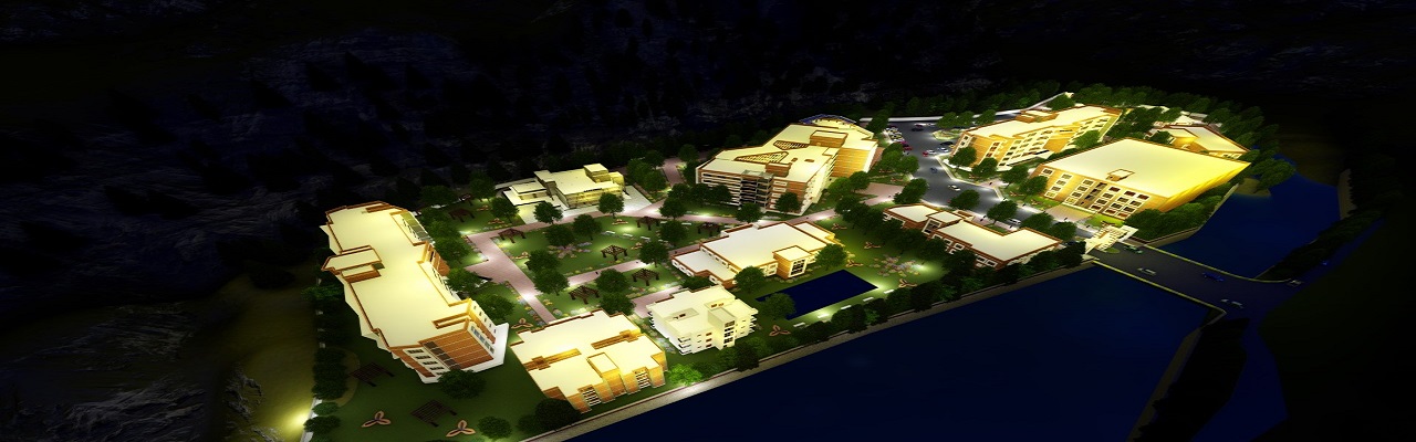 3D Image